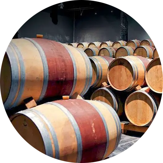 vivencias con gorka ruta del vino